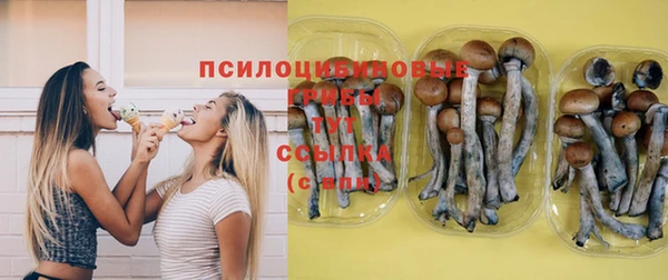 крисы Балабаново
